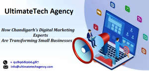Chandigarh’s Digital Marketing Experts