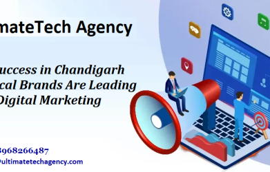 SEO Success in Chandigarh