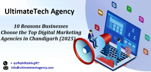 Top Digital Marketing Agencies in Chandigarh