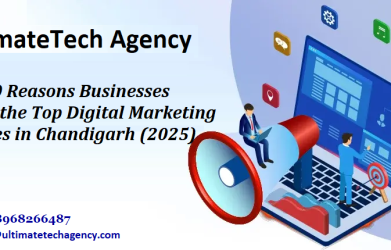 Top Digital Marketing Agencies in Chandigarh