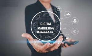 Digital Marketing Services in Chandigarh